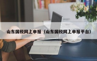 山东国税网上申报（山东国税网上申报平台）