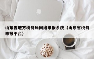 山东省地方税务局网络申报系统（山东省税务申报平台）