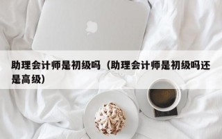 助理会计师是初级吗（助理会计师是初级吗还是高级）