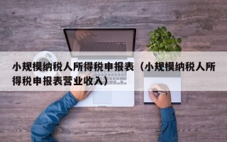 小规模纳税人所得税申报表（小规模纳税人所得税申报表营业收入）