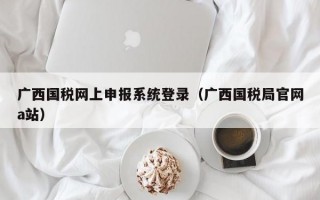 广西国税网上申报系统登录（广西国税局官网a站）