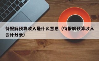 待报解预算收入是什么意思（待报解预算收入会计分录）