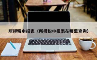 所得税申报表（所得税申报表在哪里查询）