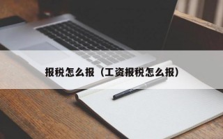 报税怎么报（工资报税怎么报）