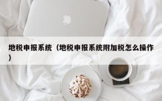 地税申报系统（地税申报系统附加税怎么操作）