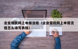 企业报税网上申报流程（企业报税网上申报流程怎么填写表格）