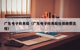 广东电子税务局（广东电子税务局社保缴费流程）