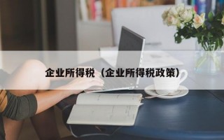 企业所得税（企业所得税政策）