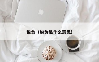 税负（税负是什么意思）