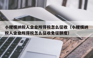 小规模纳税人企业所得税怎么征收（小规模纳税人企业所得税怎么征收免征额度）