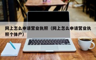 网上怎么申请营业执照（网上怎么申请营业执照个体户）