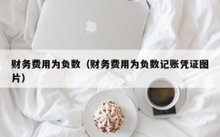 财务费用为负数（财务费用为负数记账凭证图片）