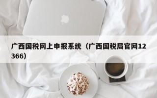 广西国税网上申报系统（广西国税局官网12366）