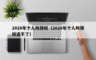 2020年个人所得税（2020年个人所得税退不了）