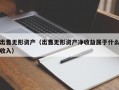 出售无形资产（出售无形资产净收益属于什么收入）