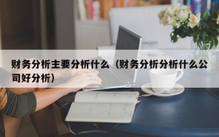 财务分析主要分析什么（财务分析分析什么公司好分析）