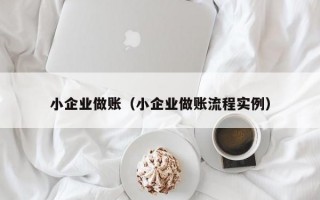 小企业做账（小企业做账流程实例）