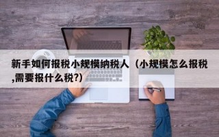 新手如何报税小规模纳税人（小规模怎么报税,需要报什么税?）