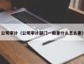 公司审计（公司审计部门一般查什么怎么查）