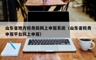 山东省地方税务局网上申报系统（山东省税务申报平台网上申报）