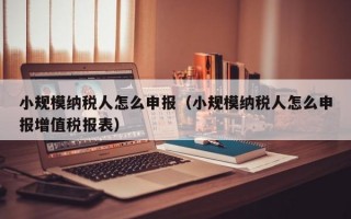 小规模纳税人怎么申报（小规模纳税人怎么申报增值税报表）