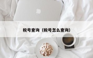 税号查询（税号怎么查询）