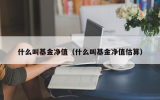 什么叫基金净值（什么叫基金净值估算）