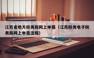 江苏省地方税务局网上申报（江苏税务电子税务局网上申报流程）