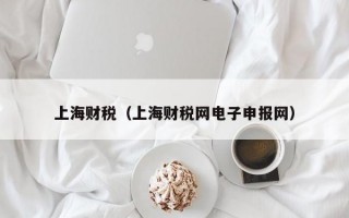 上海财税（上海财税网电子申报网）