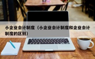 小企业会计制度（小企业会计制度和企业会计制度的区别）