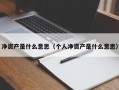 净资产是什么意思（个人净资产是什么意思）