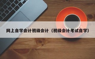 网上自学会计初级会计（初级会计考试自学）