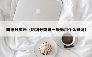 明细分类账（明细分类账一般采用什么账簿）