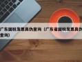 广东国税发票真伪查询（广东省国税发票真伪查询）