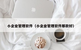 小企业管理软件（小企业管理软件那款好）