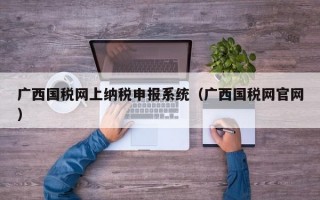 广西国税网上纳税申报系统（广西国税网官网）