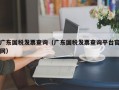 广东国税发票查询（广东国税发票查询平台官网）