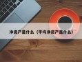 净资产是什么（平均净资产是什么）