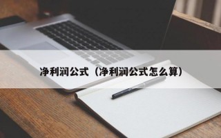 净利润公式（净利润公式怎么算）