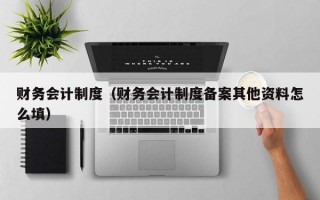 财务会计制度（财务会计制度备案其他资料怎么填）