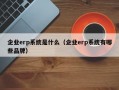 企业erp系统是什么（企业erp系统有哪些品牌）