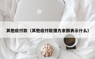 其他应付款（其他应付款借方余额表示什么）