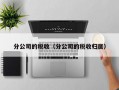 分公司的税收（分公司的税收归属）