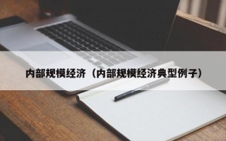 内部规模经济（内部规模经济典型例子）