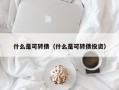 什么是可转债（什么是可转债投资）