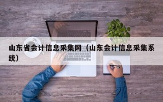 山东省会计信息采集网（山东会计信息采集系统）