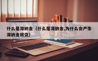 什么是滞纳金（什么是滞纳金,为什么会产生滞纳金房贷）