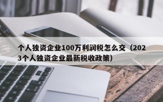 个人独资企业100万利润税怎么交（2023个人独资企业最新税收政策）