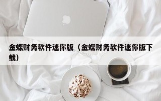 金蝶财务软件迷你版（金蝶财务软件迷你版下载）