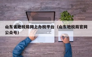 山东省地税局网上办税平台（山东地税局官网公众号）